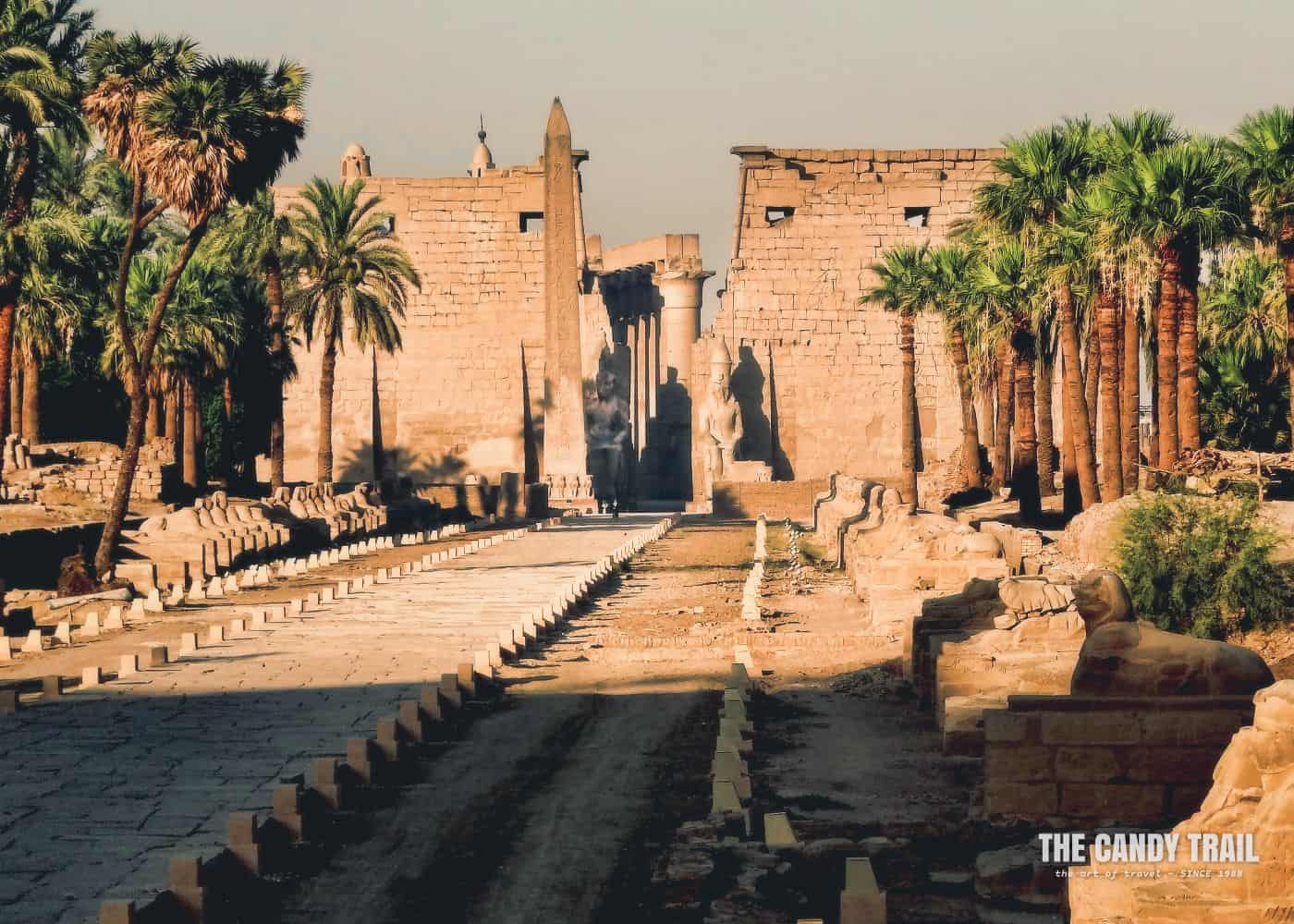 Luxor Temple Avenue Of Sphinxes Egypt